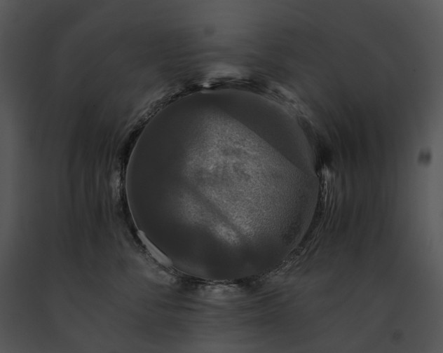 X0000091680716200708301520