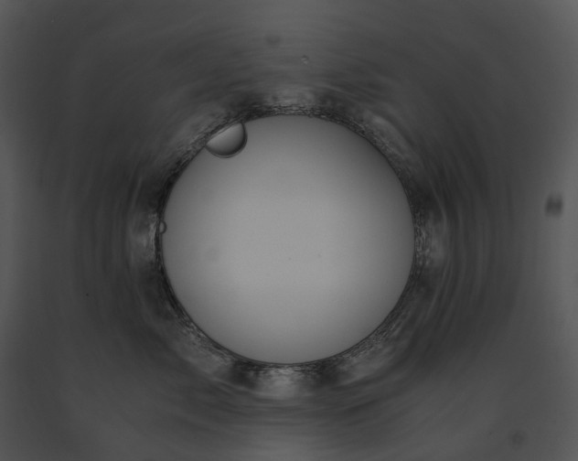 X0000091680717200708301520