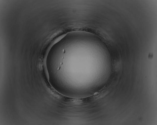 X0000091680719200708301520