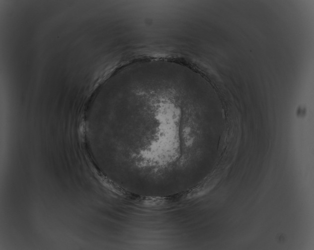 X0000091680720200708301519