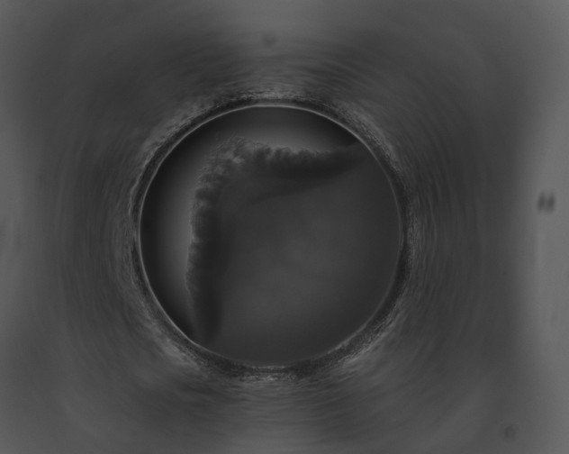 X0000091680721200708301519