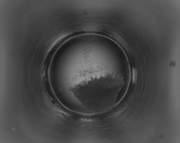 X0000091680723200708301519