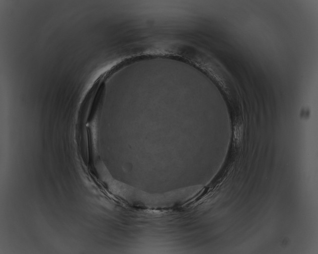 X0000091680724200708301519