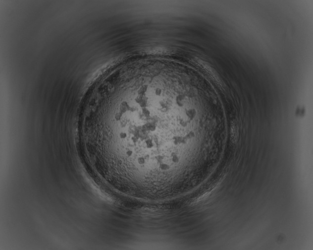 X0000091680725200708301519