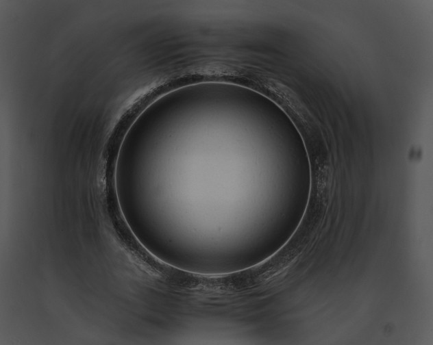 X0000091680727200708301519
