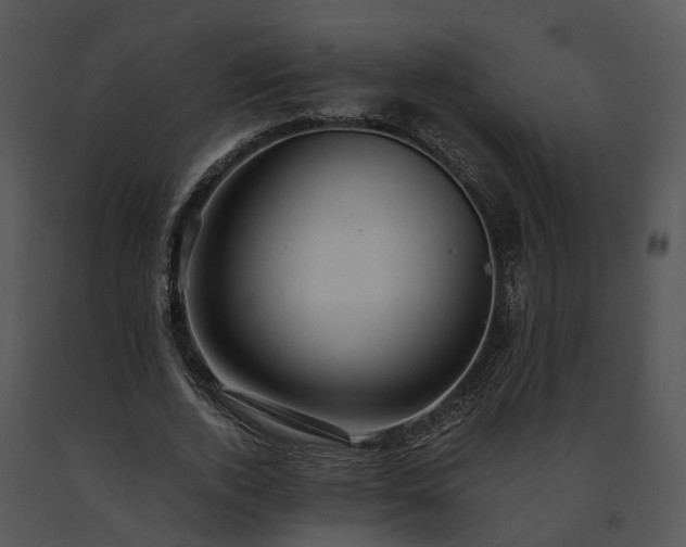 X0000091680728200708301519