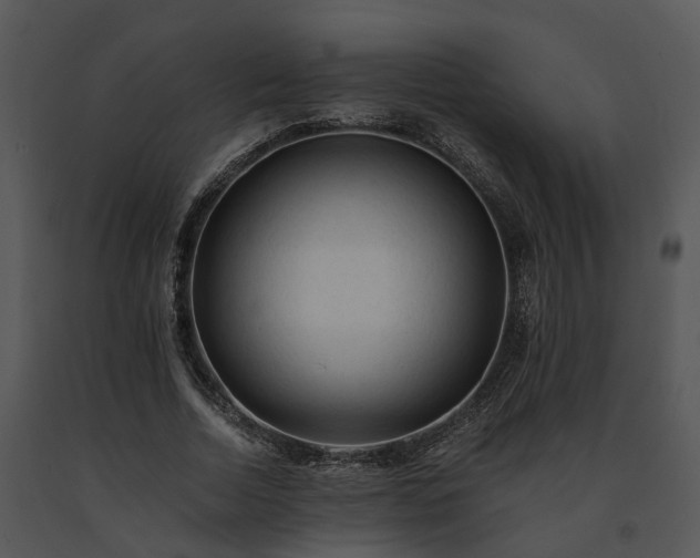 X0000091680730200708301519