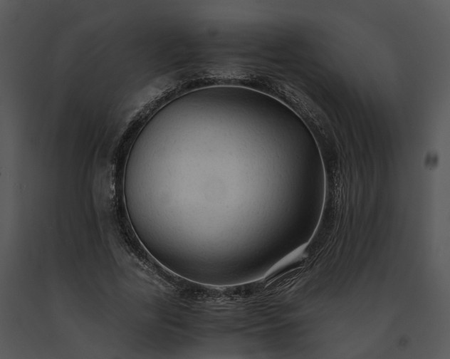 X0000091680731200708301519