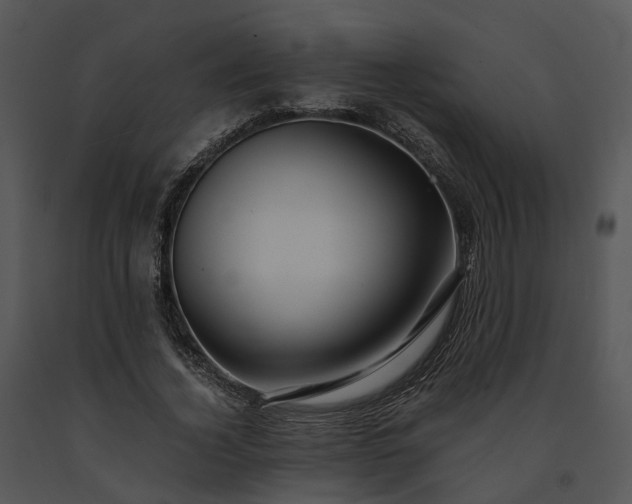 X0000091680732200708301519