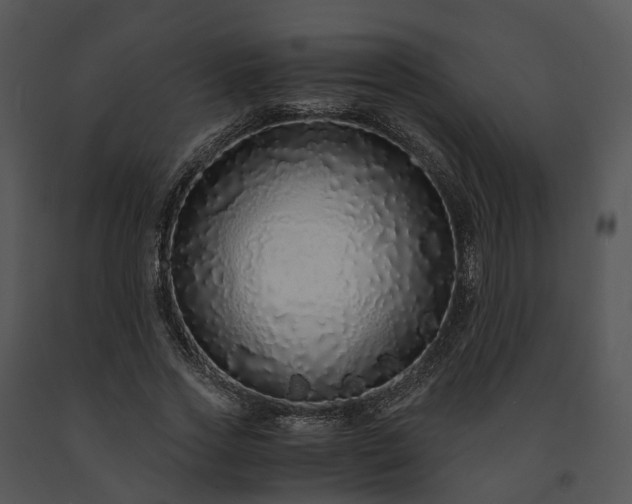X0000091680733200708301519