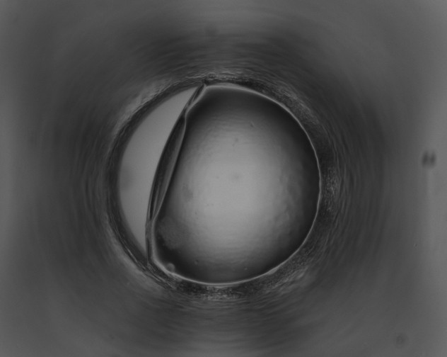 X0000091680734200708301519