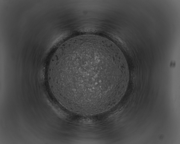 X0000091680735200708301519