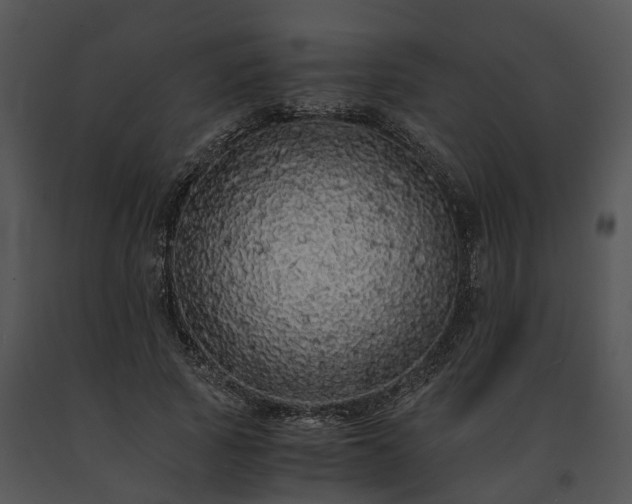 X0000091680737200708301519