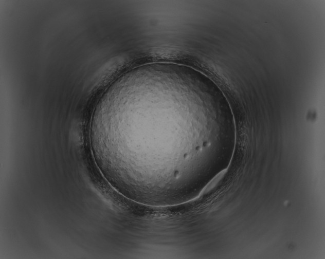 X0000091680738200708301519