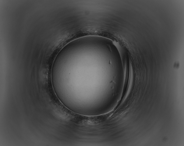 X0000091680739200708301519