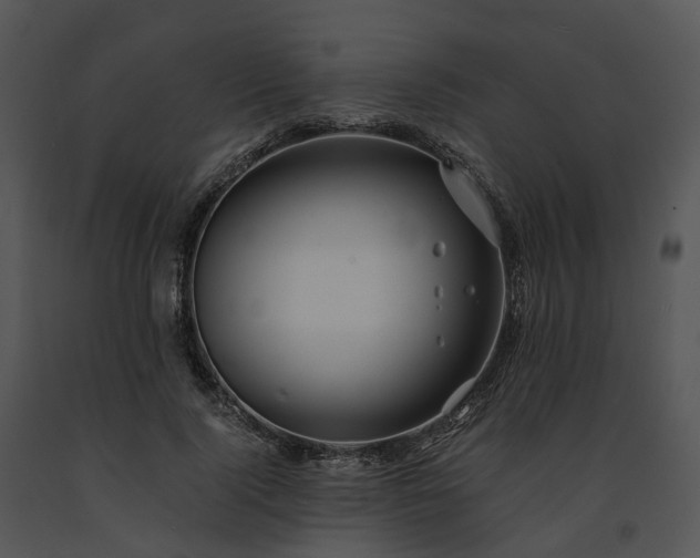 X0000091680740200708301519
