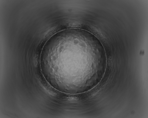 X0000091680741200708301519