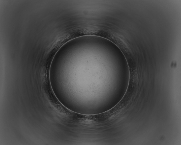 X0000091680743200708301519