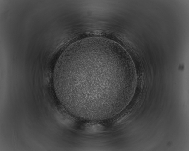 X0000091680747200708301519