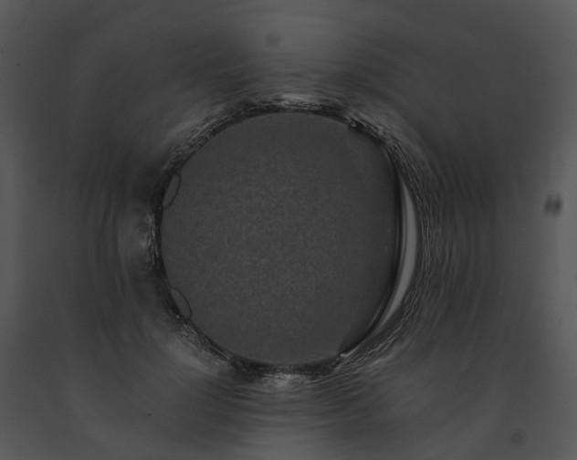 X0000091680748200708301519
