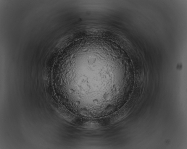 X0000091680749200708301519