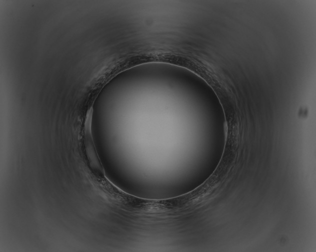 X0000091680750200708301519