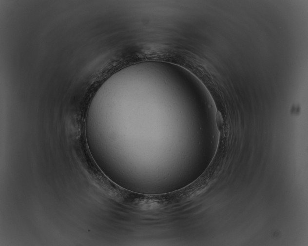 X0000091680751200708301519