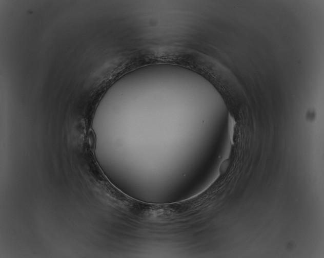 X0000091680752200708301519