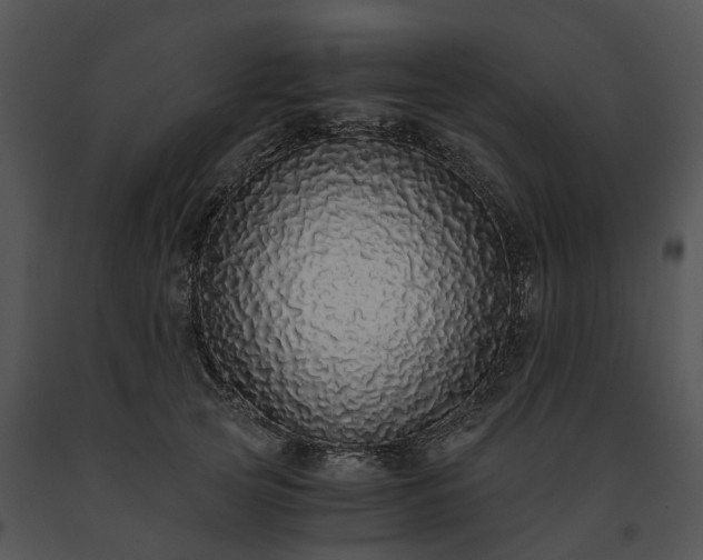 X0000091680753200708301519