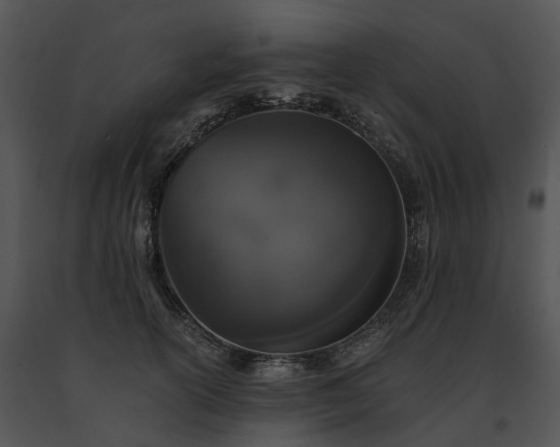 X0000091680754200708301519