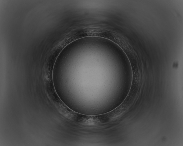 X0000091680755200708301519