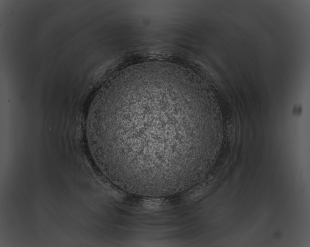 X0000091680757200708301519