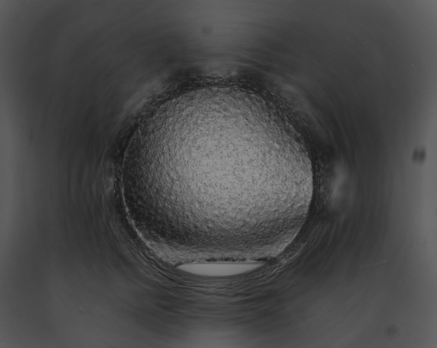 X0000091680758200708301519