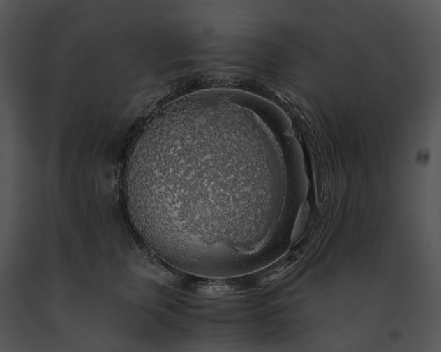 X0000091680759200708301519