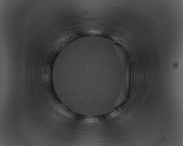 X0000091680760200708301519