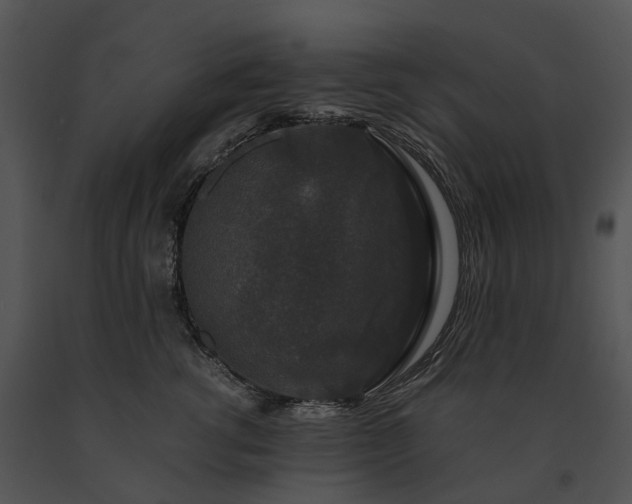 X0000091680762200708301519