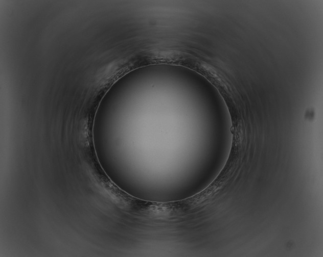 X0000091680764200708301519