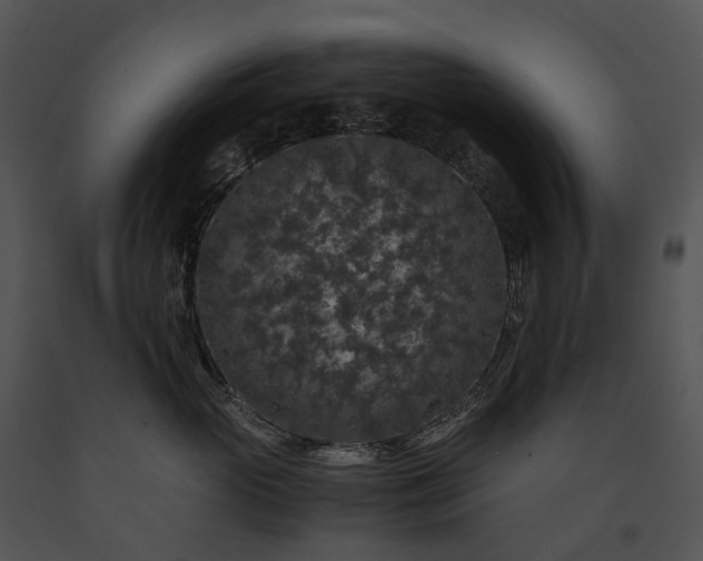 X0000091680765200708301519