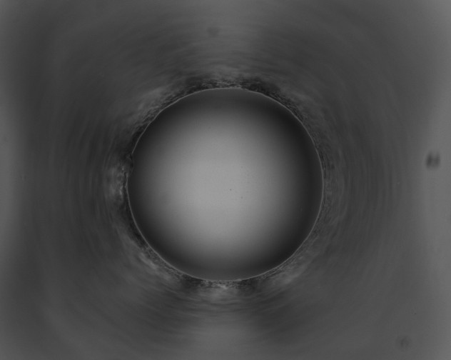 X0000091680768200708301519