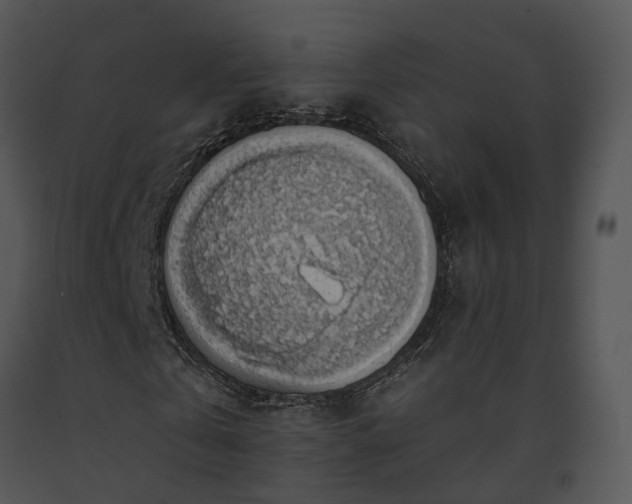X0000091680769200708301519