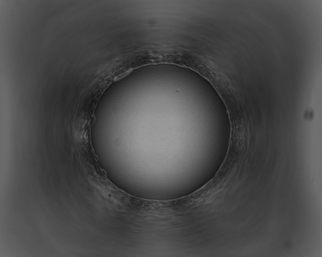 X0000091680770200708301519