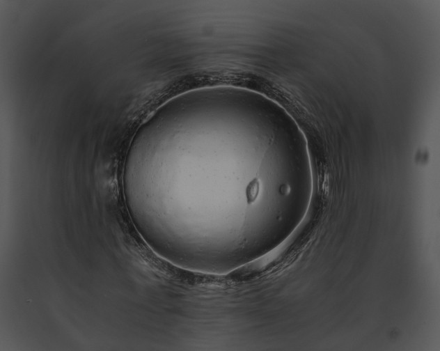 X0000091680771200708301519
