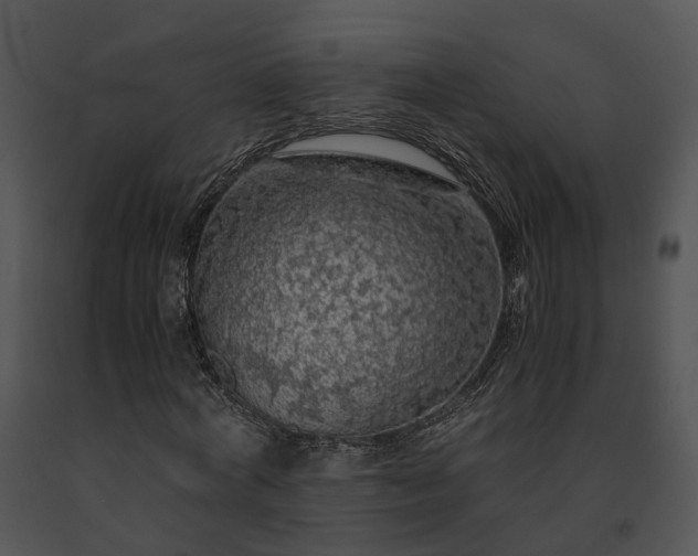 X0000091680772200708301519