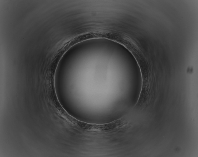 X0000091680773200708301519