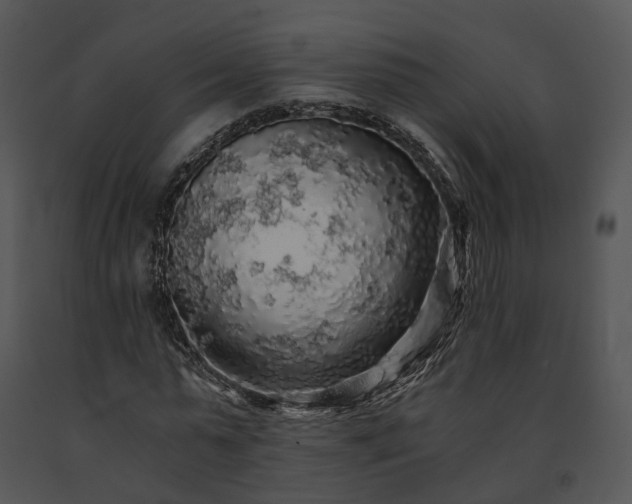 X0000091680775200708301519