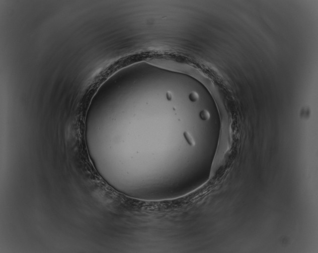 X0000091680776200708301519