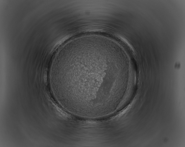 X0000091680777200708301519
