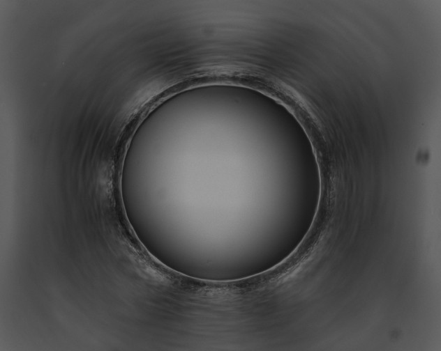 X0000091680778200708301519