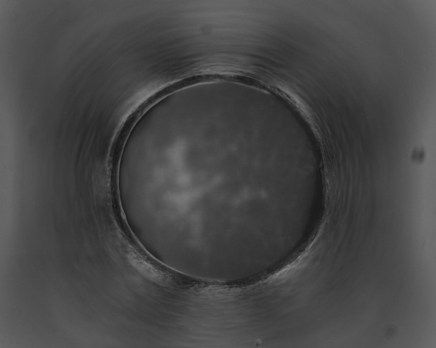 X0000091680779200708301519