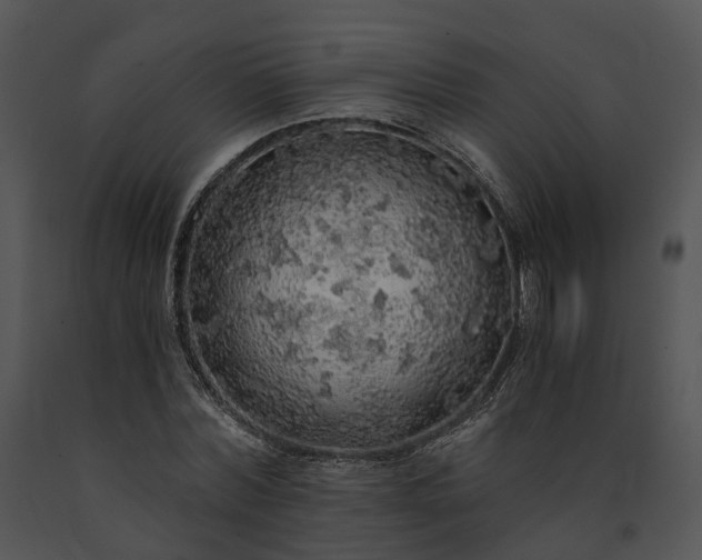 X0000091680780200708301519